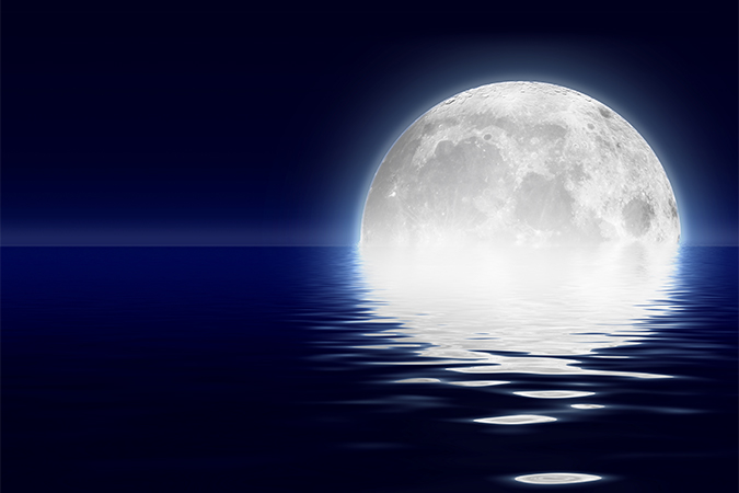 月並み つきなみ 語源由来辞典