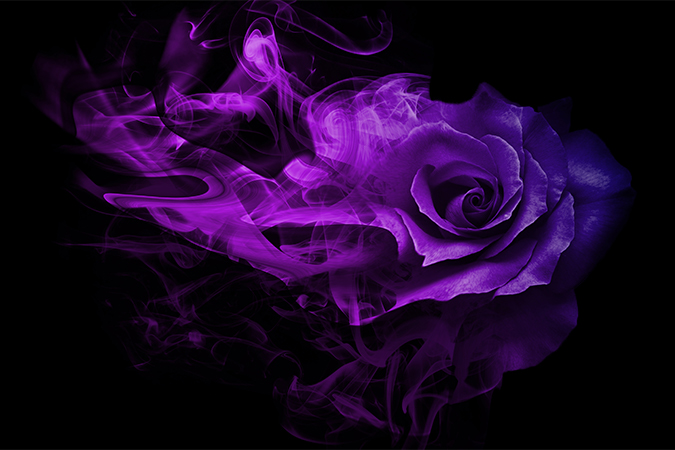 紫 の意味 語源 由来 語源由来辞典