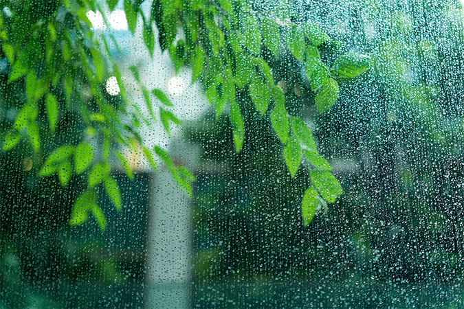 梅雨 つゆ ばいう 語源由来辞典