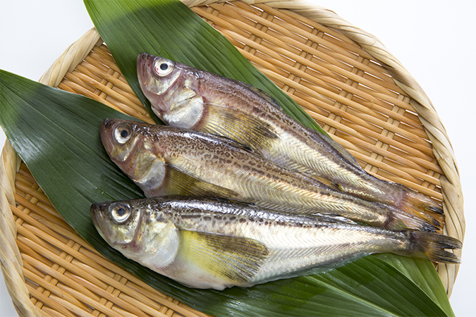 ハタハタ 鰰 はたはた 語源由来辞典